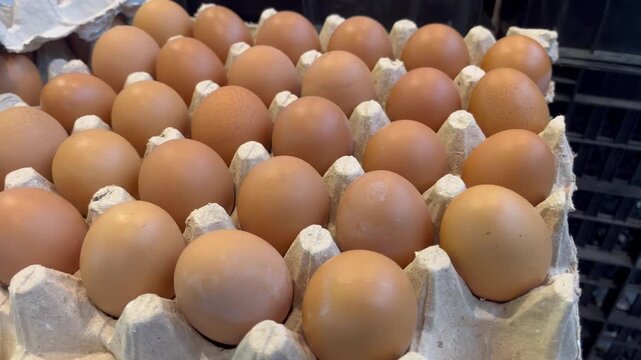 Fresh Raw Chicken Eggs Packaged in Paper Carton Tray on Market