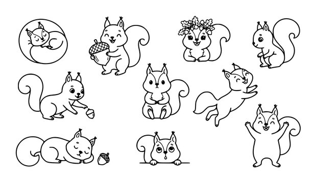 Kawaii Forest Squirrel Cartoon Outline Coloring Vector Collection