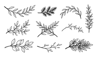 Black hand drawn botanical branches and leafy twigs minimalist line art vector collection © Lavli