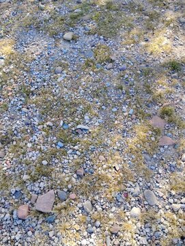 Different stones on the ground