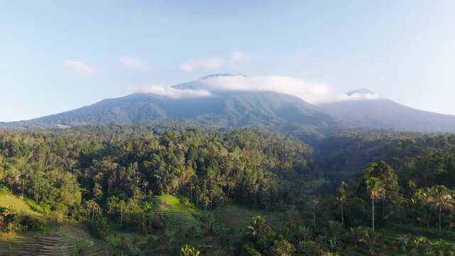Aerial drone video of peaceful rural landscape with rice terraces, dense tropical forest, and Mount Batukaru mountain with clouds in Tabanan Bali Indonesia during morning