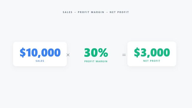 Financial formula graphic illustrating sales, profit margin, and net profit calculations for business analysis