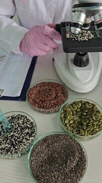 Research on various seeds under a microscope in a lab setting