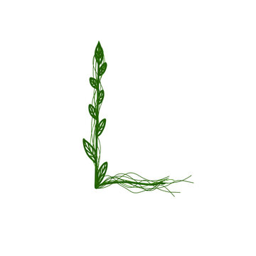 Aesthetic green vines alphabet letter L transparent PNG