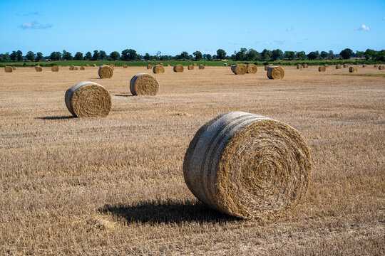 Round bales on field in Oland Sweden