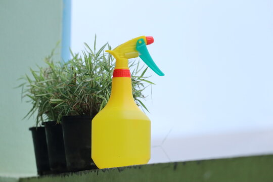 Yellow Spray Bottle and Plant: A vibrant yellow spray bottle sits next to a small potted plant, ready for gardening tasks or cleaning.