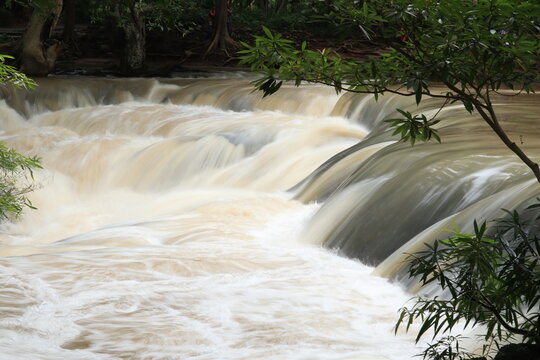 Cascading Waterfall in Lush Forest: A powerful waterfall tumbles over tiered rocks amidst a vibrant, green forest. The water, a milky brown hue, flows with dynamic energy.