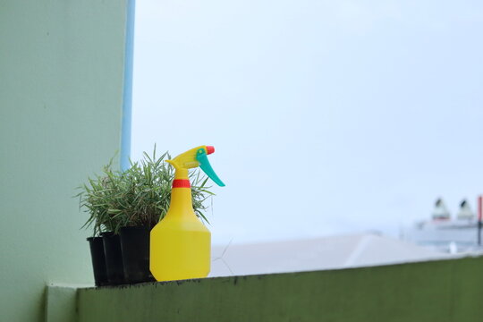 Garden care setup: A yellow spray bottle rests beside a potted herb plant on a windowsill, ready for plant care and nurturing.