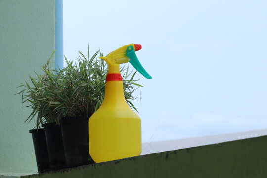 Garden Spray Bottle with Plant: A bright yellow garden spray bottle sits beside potted green plants on a ledge, ready for watering tasks under a cloudy sky.