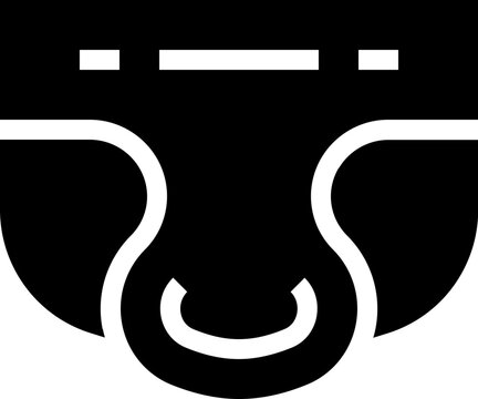 Jockstrap Icon
