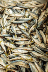 Obraz premium Fresh whole fish are laid out on a metal market tray, their silvery scales catching the light beside another tray of fillets