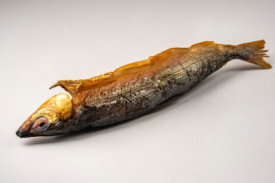 Hot smoked fish Baikal omul Coregonus autumnalis on white background
