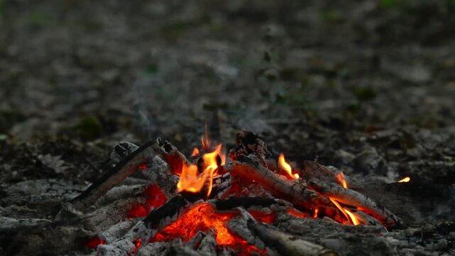 Seamless loop of campfire embers and flames on the ground. Seamless macro video loop capturing glowing campfire embers and flickering flames resting on the forest ground, optimized for ASMR and relax