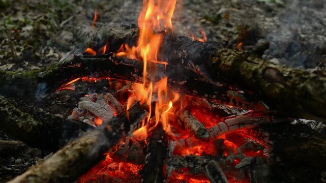 Seamless loop of burning wood logs and glowing campfire embers. Seamless video loop of burning wood logs, hot glowing charcoal, and flickering flames of a campfire, ideal for continuous background 