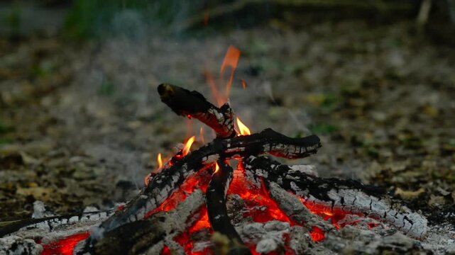 Seamless loop of a small campfire burning on the forest ground. Seamless background loop of a small campfire safely burning on the forest floor surrounded by twigs, perfect for calming nature