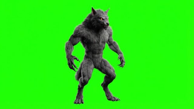 Fierce werewolf creature standing on a green screen background