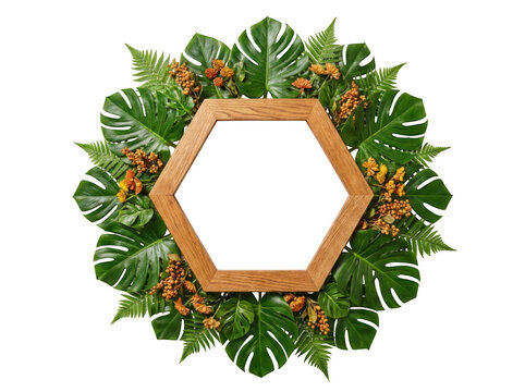 Hexagonal wooden frame decorated with tropical monstera leaves and dried flowers isolated on transparent background