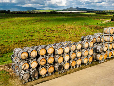 Wine Barrels Before Yarra Valley Paddocks