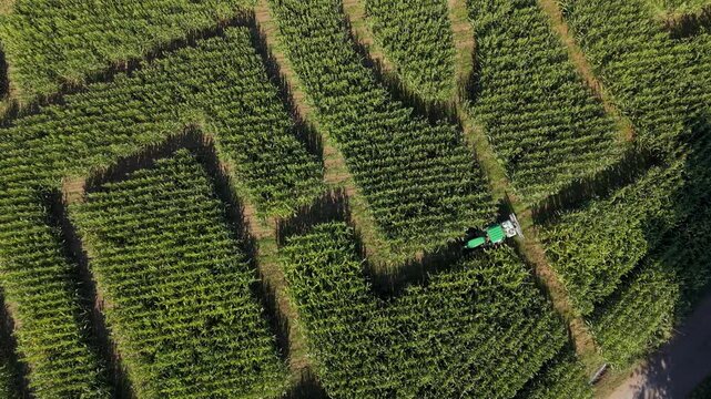 Aerial View of Tractor Maintaining a Corn Maze at an Italian Agritourism Farm