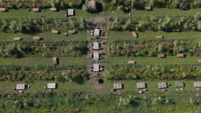 Aerial View of Picnic Tables Among Flower Fields at an Italian Agritourism Farm