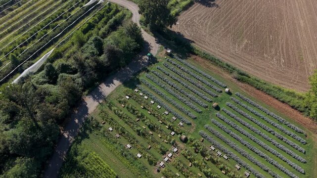 Drone View of Outdoor Picnic Area Surrounded by Flowers at an Italian Farm