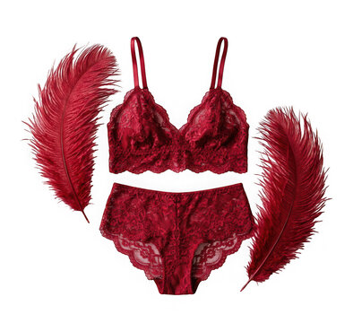 Red lace lingerie set with matching feathers isolated on transparent background