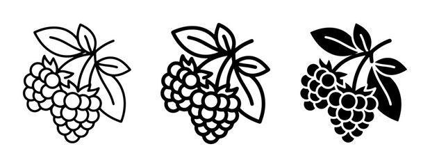 Fototapeta premium Raspberry Icons Set, Fresh Fruit Vector Graphics, Organic Berry Illustrations, Healthy Food Symbols