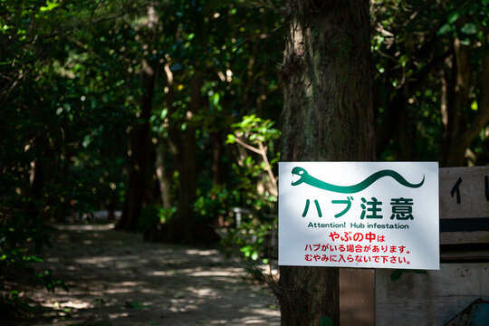 ハブ注意の看板