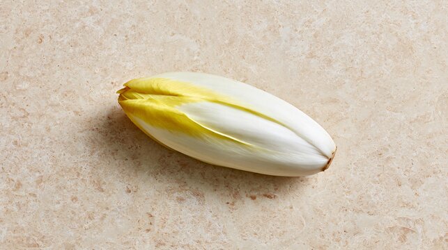 A minimalist composition featuring only Belgian endive placed on polished limestone with exceptional negative space for commercial branding