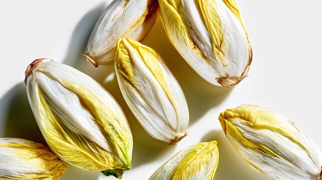A premium composition featuring Belgian endive, fresh European vegetable harvests, gourmet salads, roasted Belgian endive, braised Belgian endive, elegant appetizer boats