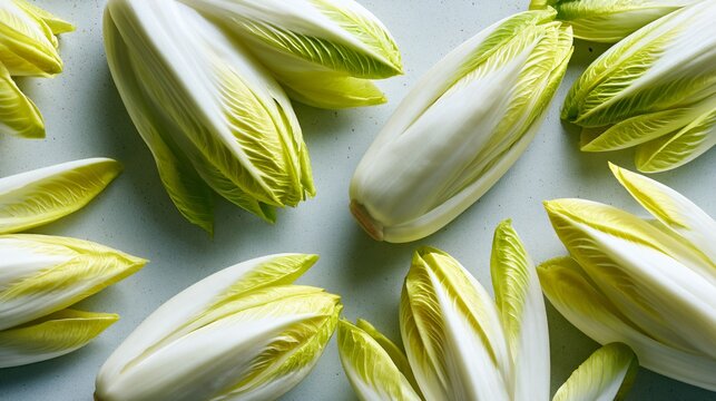 A top-down flat lay featuring fresh Belgian endive arranged in elegant radial patterns across pale limestone beneath soft morning sunlight with generous premium copy space