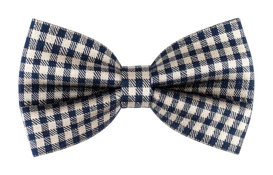 Blue and white checkered bow tie accessory