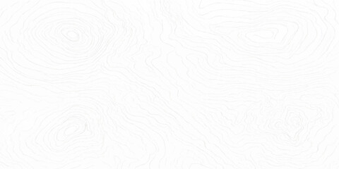 ultra light white topographic contour line vector background faint subtle terrain map pattern illustration © Al Amin Islam