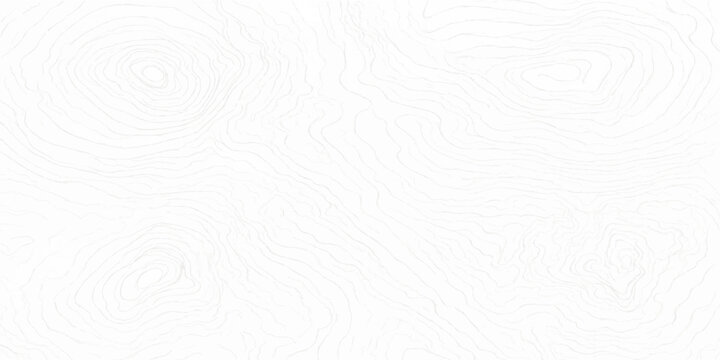 ultra light white topographic contour line vector background faint subtle terrain map pattern illustration