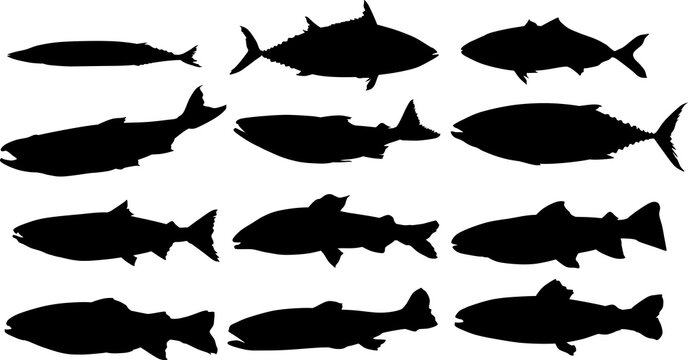 魚のシルエットイラストセット