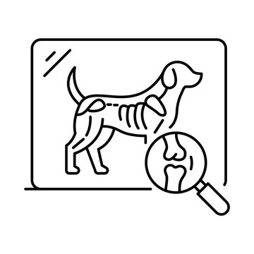 Pet X-Ray Scan Line Icon - Radiography Bone Display with Magnifying Glass Zooming on Joint Fracture. on transparent background