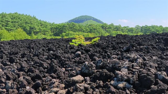 荒涼とした溶岩流の先に山が見える風景。