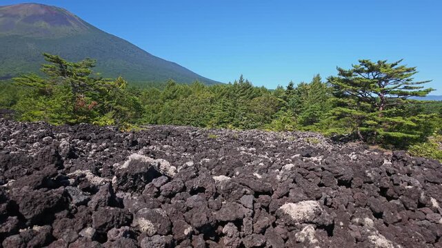 森の前に溶岩流が広がる風景。