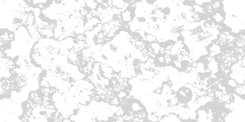 Fototapeta premium Cracked abstract texture background with a subtle grunge effect and light grey tones