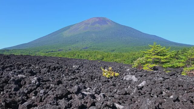 山と溶岩流が見える風景。