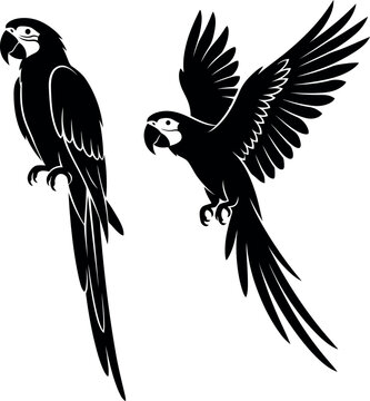 Two parrot silhouettes depict a perched and flying bird