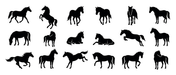 Fototapeta premium Set of black horse silhouettes in various dynamic poses like running, standing, jumping, and rearing, presented as a collection of graphic vector icons for design