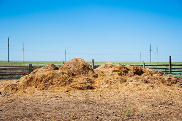Storage with piles of stacks of hay © SGr