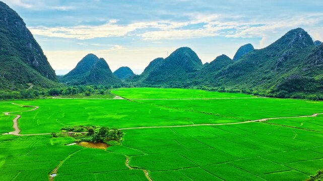 Aerial drone view of lush green rice fields surrounded by karst mountains in Guilin, China.