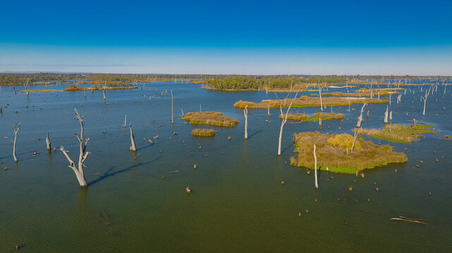 Lake Mulwala drowned forest with scattered island habitat