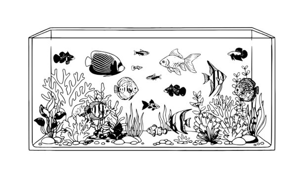 Colorful Tropical Aquarium Fish Tank with Coral and Exotic Fish Flat Vector Set