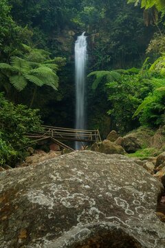 Silky Tropical Waterfall with Long Exposure Effect, Bamboo Bridge and Giant Ferns in Rainforest, Southeast Asia