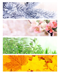 Naklejka premium Four season of year. Set of horizontal nature banners. Each one features scene of nature, from the gentle snowfall of winter to the vibrant leaves of summer. Perfect for showcasing changing seasons
