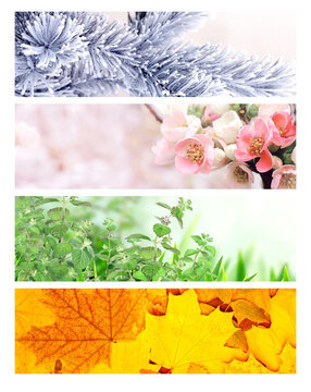Four season of year. Set of horizontal nature banners. Each one features scene of nature, from the gentle snowfall of winter to the vibrant leaves of summer. Perfect for showcasing changing seasons