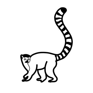 Ring tailed lemur Africa Animal Habitat Hand drawn Organic line